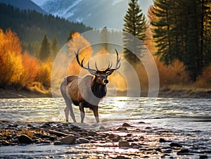 Ai Generated illustration Wildlife Concept of Elk Bugling While Crossing River