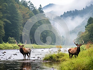 Ai Generated illustration Wildlife Concept of Elk Wildlife Photography in Great Smoky Mountains