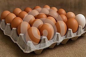 AI Generated Image of Chicken Eggs on Egg Tray