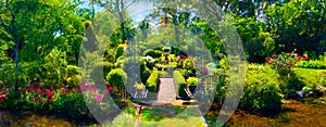 AI generated image of a photograph of a feature garden