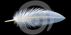 White Feather Lying Straight On Black Surface Symbolizing Serenity And Delicate Natural Beauty