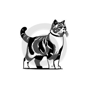 Black and White Tabby Cat Illustration