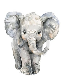 Ai Generated Watercolor Cute Baby Elephant Walking in Pastel Colors Isolated On White Background