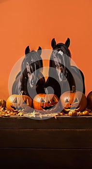 AI generation - the portrait of two horses with halloween pumpkins