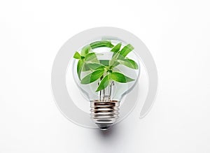 Ai generative. Eco friendly light bulb with green leaves