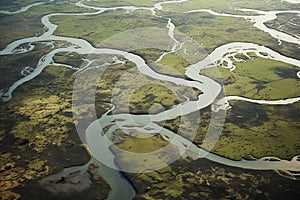 An AI illustration of a river winding through a marsh like area with grass around it