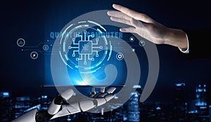 AI on a Quantum Computer High-Performance Processor Motif