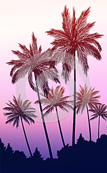 Natural Coconut trees. Mountains horizon hills. Silhouettes of palm trees and hills. Sunrise and sunset. Landscape wallpaper.