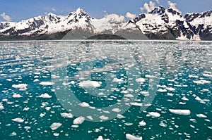 Aialik bay, Kenai Fjords NP, Alaska photo