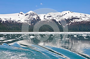 Aialik bay, Kenai Fjords NP, Alaska photo