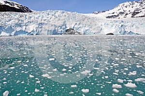 Aialik glacier, Kenai Fjords NP photo
