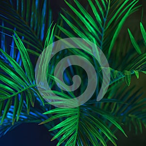 AICrafted Backgrounds & Seamless Patterns for Creative Projects