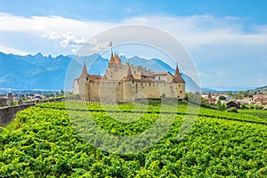 Aigle Castle and Terraced vineyards photo