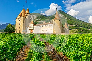 Aigle Castle and Terraced vineyards photo