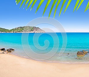 Aiguas Blanques Agua blanca Ibiza beach