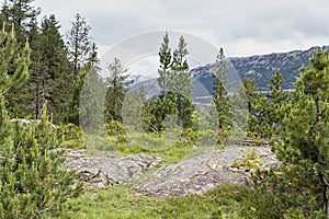 Aiguestortes national park