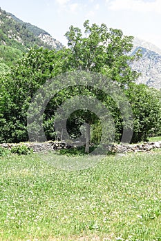 AigÃ¼estortes National Park in the Catalan Pyrenees, Spain