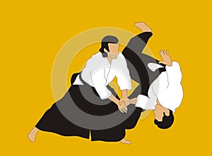 Aikido photo