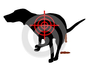 Aim at dog crapping