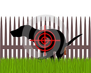 Aim at dogs crapping
