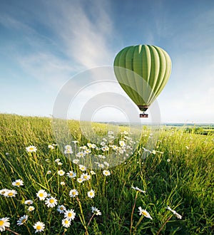 Air ballon above field with flowers at the summer time.
