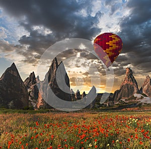 Air balloon over poppies field Cappadocia, Turkey