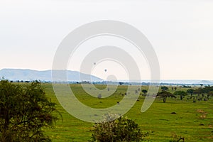 Air balloons in Serengeti National Park