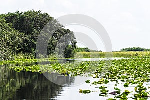 Air boat ride at Everglades National Park in USA