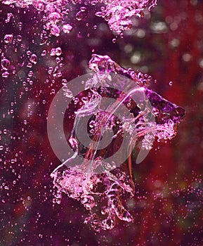 Air Bubble in Pink Water