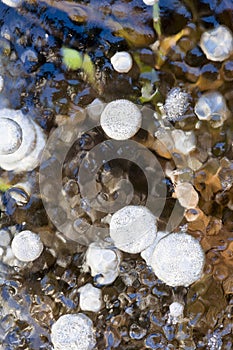 Air bubbles in the ice