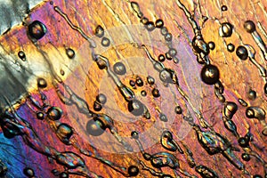 Air bubbles in ice under the microscope