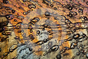 Air bubbles in ice under the microscope