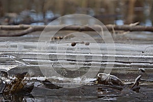 Air bubbles in ice and water