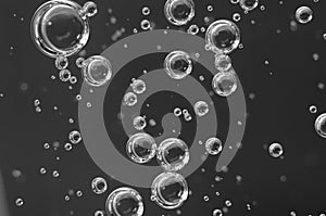 Air bubbles in a liquid. Abstract black-and-white background