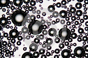 Air bubbles in an surfactant fluid under a microscope
