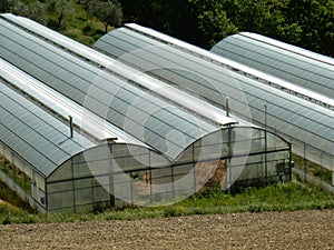 Air-conditioned greenhouses photo