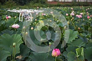 Air drone surveillance camera and lotus