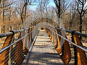 Air eco-trail on high in the spring forest