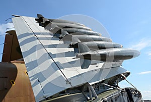 Air fighter wing with armament