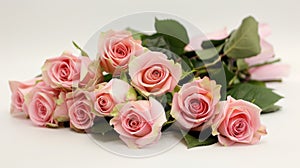 The air is filled with the scent of freshly roses the most popular flower gifted on Valentines Day photo