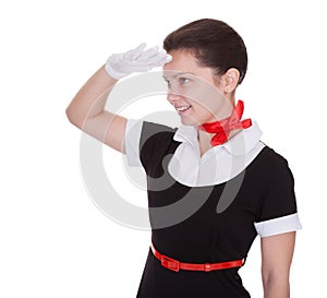 Air hostess saluting as she welcomes you