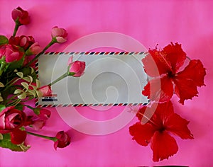 Air mail envelope and tulip flower on pink background