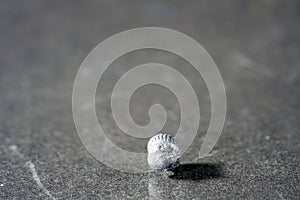 Air pistol with ammunition for sports shooters in caliber 4.5 mm Photographed in the studio