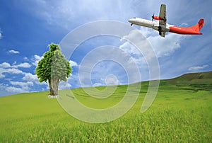 Air plane fly over blue sky and rice field