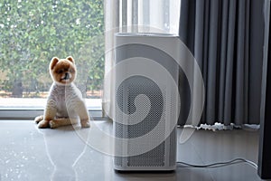 Air purifier system cleaning dust pm 2.5 pollution in living room with cute dog