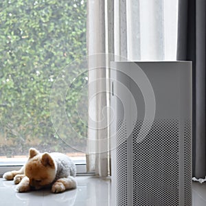 Air purifier system cleaning dust pm 2.5 pollution in living room with cute dog