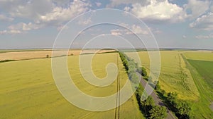 Air shot from a road running across a wheat field