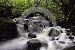 Aira Beck, Lake District, England