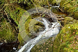 Aira Beck stream below famous Aira Force waterfall, located in the Lake District, Cumbria, UK