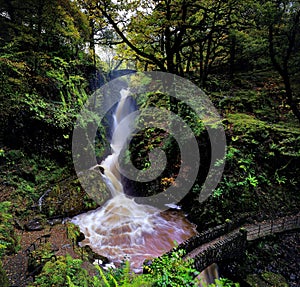 Aira Force